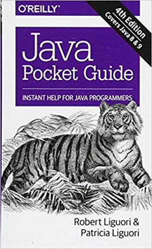 Cover of Java Style book