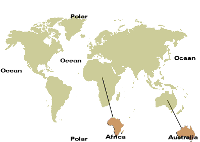 World Map